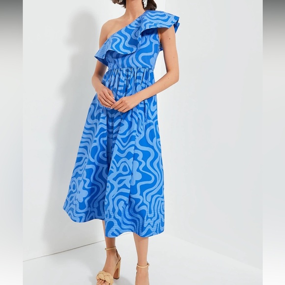 Tuckernuck Dresses & Skirts - OLIPHANT

Ashbury Blue One Shoulder Ruffle Maxi